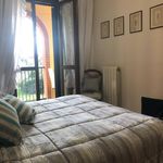 Rent 1 bedroom apartment of 37 m² in Lucca