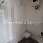 Rent 3 bedroom apartment of 80 m² in Prato