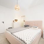 Rent 2 bedroom house in Brno