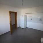 Rent 3 bedroom apartment of 170 m² in Chrząstowice