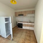 Rent 2 bedroom apartment of 37 m² in Saint-Thomas