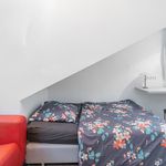 Miete 1 Schlafzimmer wohnung von 20 m² in Mainz