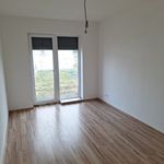 Rent 1 bedroom house of 448 m² in Číhošť
