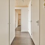 Rent 2 bedroom apartment of 62 m² in Helvoirt