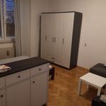 Rent 1 bedroom apartment of 35 m² in Rijeka