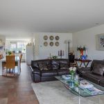 Rent 1 bedroom apartment of 125 m² in Beverwijk