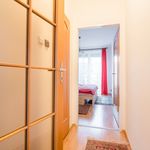 Rent 2 bedroom apartment of 53 m² in Brno