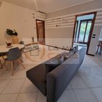 Rent a room of 150 m² in Legnaro