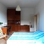 Affitto 5 camera appartamento di 110 m² in Firenze