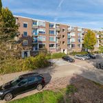 Rent 3 bedroom apartment of 70 m² in Purmerend