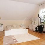 Rent 4 bedroom house of 350 m² in Mierzyn