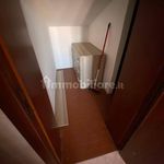 Affitto 3 camera appartamento di 55 m² in Adria