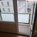Rent 1 bedroom apartment of 40 m² in Brno
