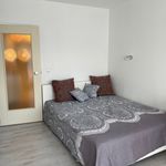 Rent 2 bedroom apartment of 48 m² in Gelsenkirchen