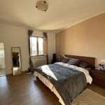 Rent 2 bedroom house of 50 m² in Firenze