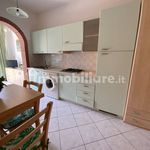 Affitto 1 camera appartamento di 60 m² in Comacchio