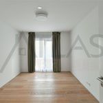 Rent 5 bedroom apartment of 177 m² in Praha