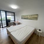 Rent 1 bedroom apartment of 29 m² in Nürnberg