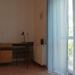 Rent a room in Poznan