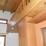 Rent 1 bedroom apartment of 20 m² in Příbor