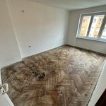 Rent 1 bedroom apartment of 55 m² in Litvínov