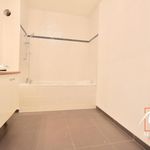Rent 1 bedroom apartment of 48 m² in Marcq-en-Baroeul