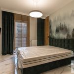 Rent 3 bedroom apartment of 70 m² in Katowice