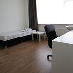 Huur 1 slaapkamer appartement van 12 m² in Eindhoven