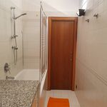 Rent 1 bedroom apartment of 43 m² in Milan