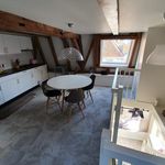 1 room apartment to let in Bergstraat