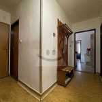 Pronajměte si 3 ložnic/e byt o rozloze 71 m² v Svitavy