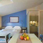 Rent 1 bedroom apartment of 31 m² in Firenze