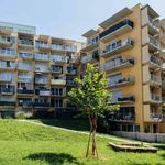 Rent 2 bedroom apartment in Steiermark