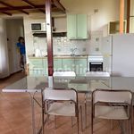 Rent 2 bedroom apartment of 60 m² in Urbino