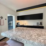 Rent 5 bedroom house of 225 m² in Zeist