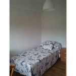 Alquilo 4 dormitorio apartamento de 75 m² en Bilbao