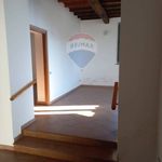 Affitto 2 camera appartamento di 60 m² in Turano Lodigiano