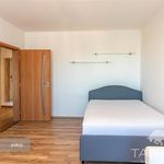 Pronajměte si 2 ložnic/e byt o rozloze 60 m² v Plzeň