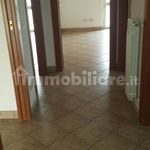 Affitto 4 camera appartamento di 120 m² in Frosinone