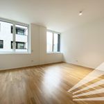 Rent 1 bedroom apartment of 37 m² in Linz