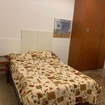 Rent 5 bedroom apartment in Rome