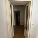 Rent 3 bedroom apartment of 110 m² in Vercelli