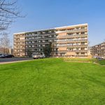 Rent 4 bedroom apartment of 76 m² in Pratteln
