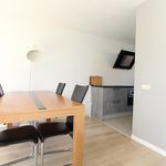 Rent 5 bedroom house of 133 m² in Amsterdam