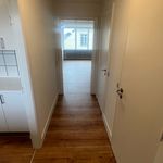 Rent 1 bedroom house of 65 m² in Kolding
