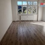 Rent 1 bedroom apartment of 87 m² in Louny