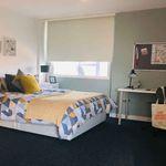 Rent 1 bedroom student apartment of 26 m² in Coventry
