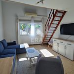 Rent 1 bedroom apartment of 39 m² in mazan