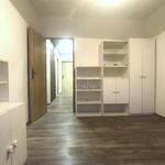 Rent 4 bedroom apartment of 73 m² in Prague