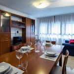 Affitto 2 camera appartamento in Udine